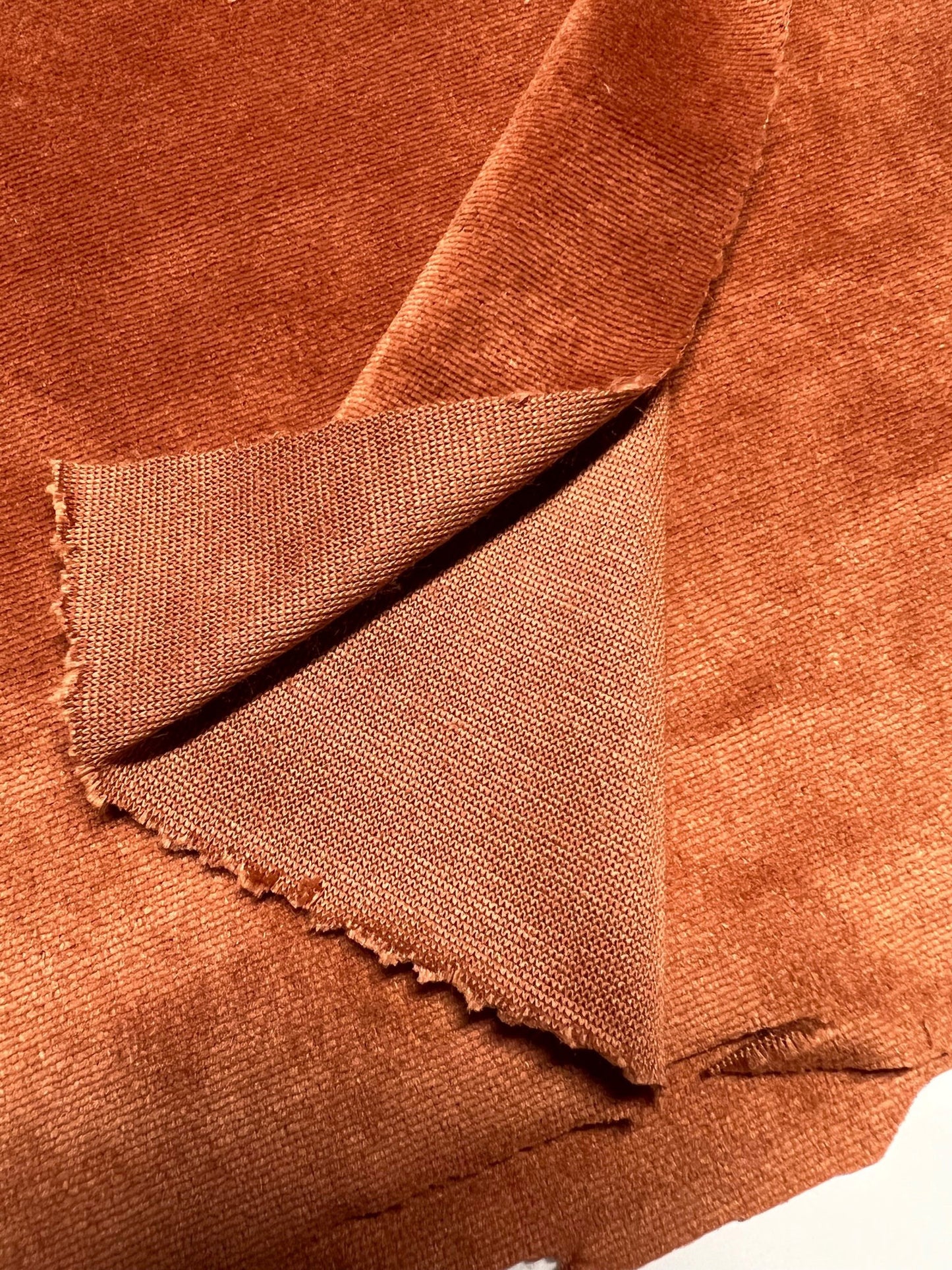 Velour Mock Neck Top, Dog Apparel