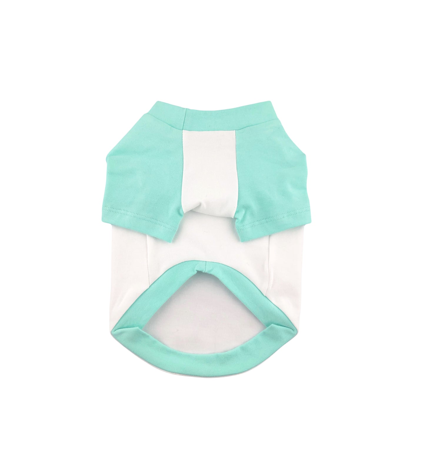 Mint and White Contrasting Raglan T-shirt, 95Cotton/ 5Spandex Jersey,  Dog Apparel