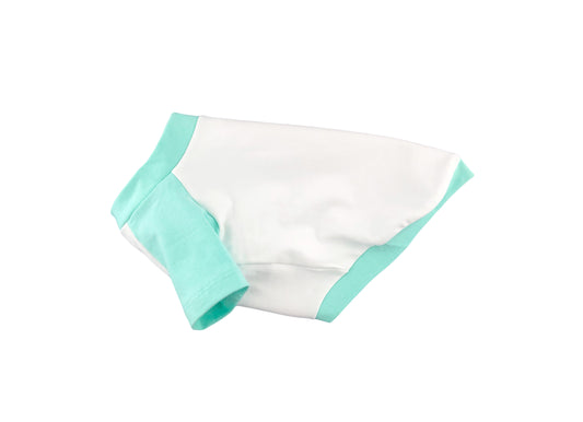 Mint and White Contrasting Raglan T-shirt, 95Cotton/ 5Spandex Jersey, Dog Apparel